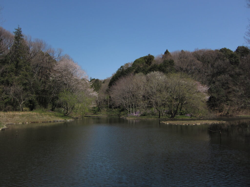 県立 座間谷戸山公園の写真 ©Necco128(CC BY-SA 3.0)