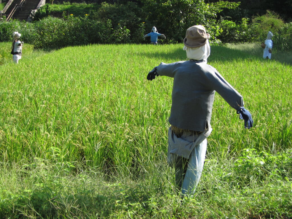 県立 座間谷戸山公園の写真 ©Necco128(CC BY-SA 3.0)