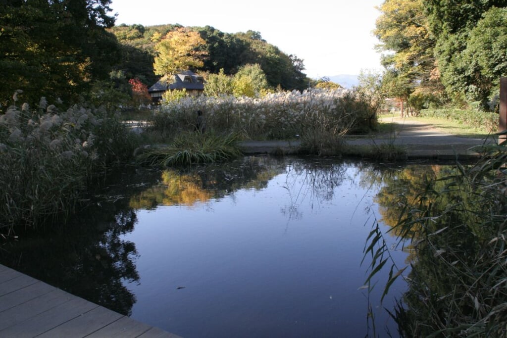 県立 座間谷戸山公園の写真 ©Hirohisat(CC BY-SA 3.0)