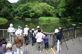 県立 座間谷戸山公園の写真 出典:神奈川県/神奈川県オープンデータ(CC BY 4.0)