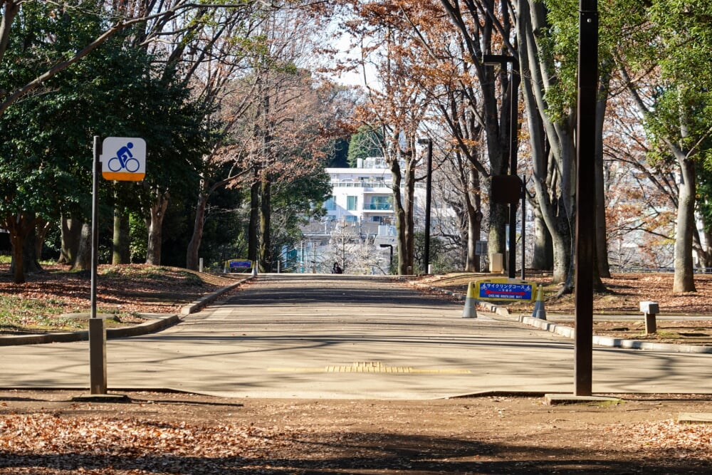 代々木公園の写真 