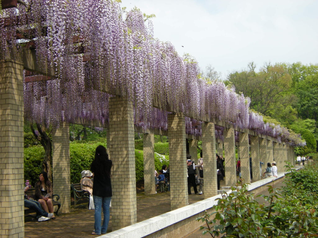 神代植物公園の写真 ©hasano_jp(CC BY 3.0)