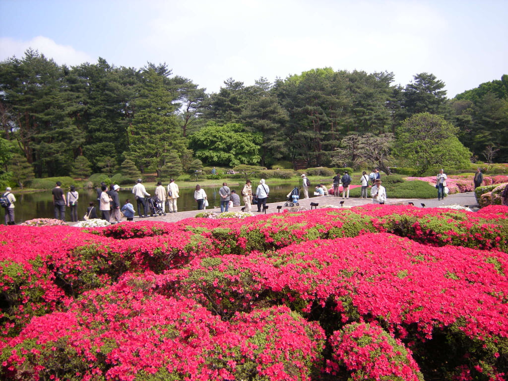 神代植物公園の写真 ©hasano_jp(CC BY 3.0)