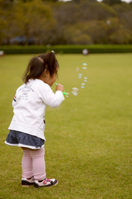 神代植物公園の写真 ©ai3310X(CC BY 2.0)