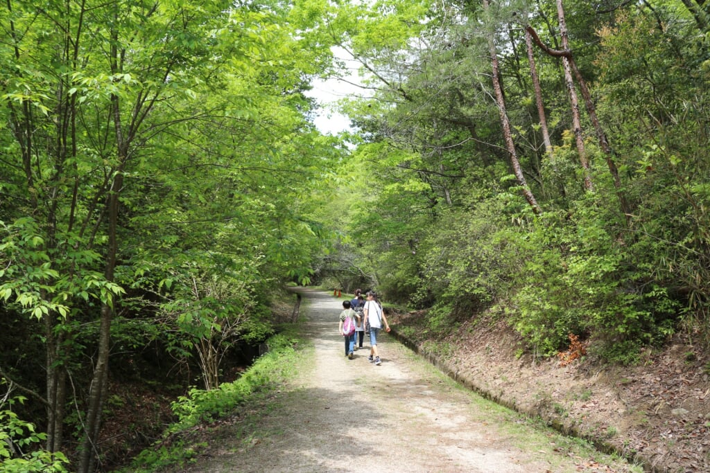 大阪府民の森 ほしだ園地の写真 