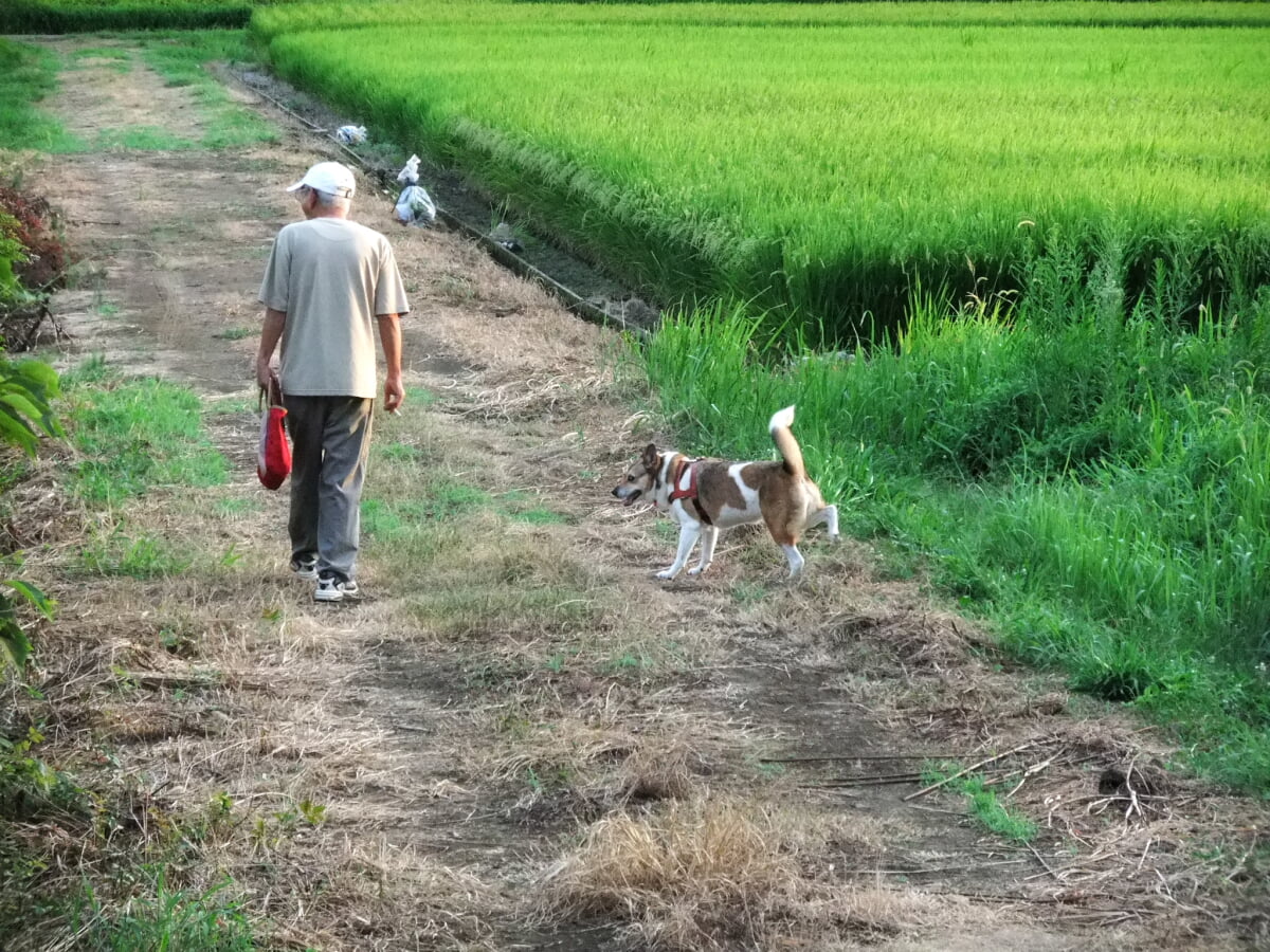 内牧公園の写真 ©sumomojam from Saitama, Japan.(CC BY-SA 2.1 jp)