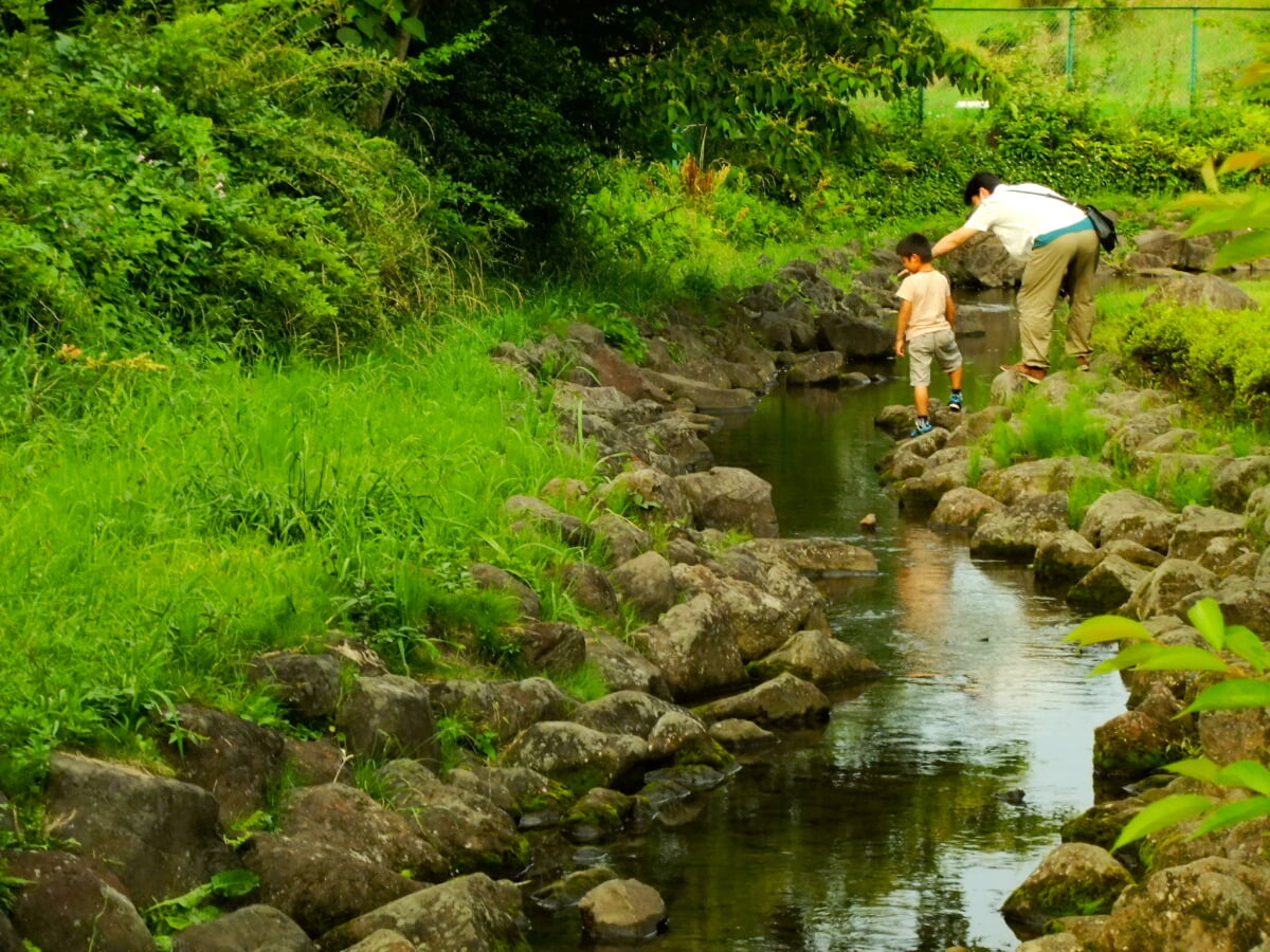 内牧公園の写真 ©sumomojam from Saitama, Japan.(CC BY-SA 2.1 jp)