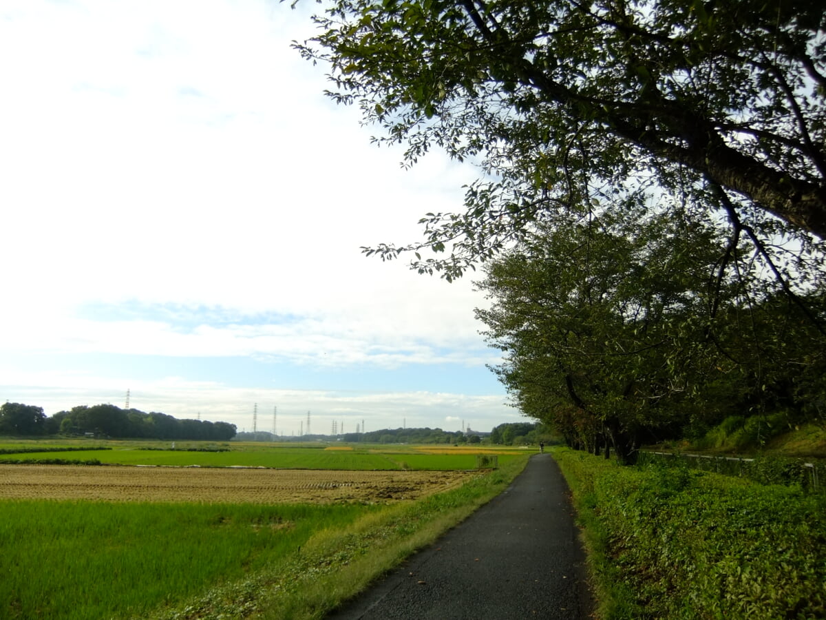 内牧公園の写真 ©sumomojam from Saitama, Japan.(CC BY-SA 2.1 jp)