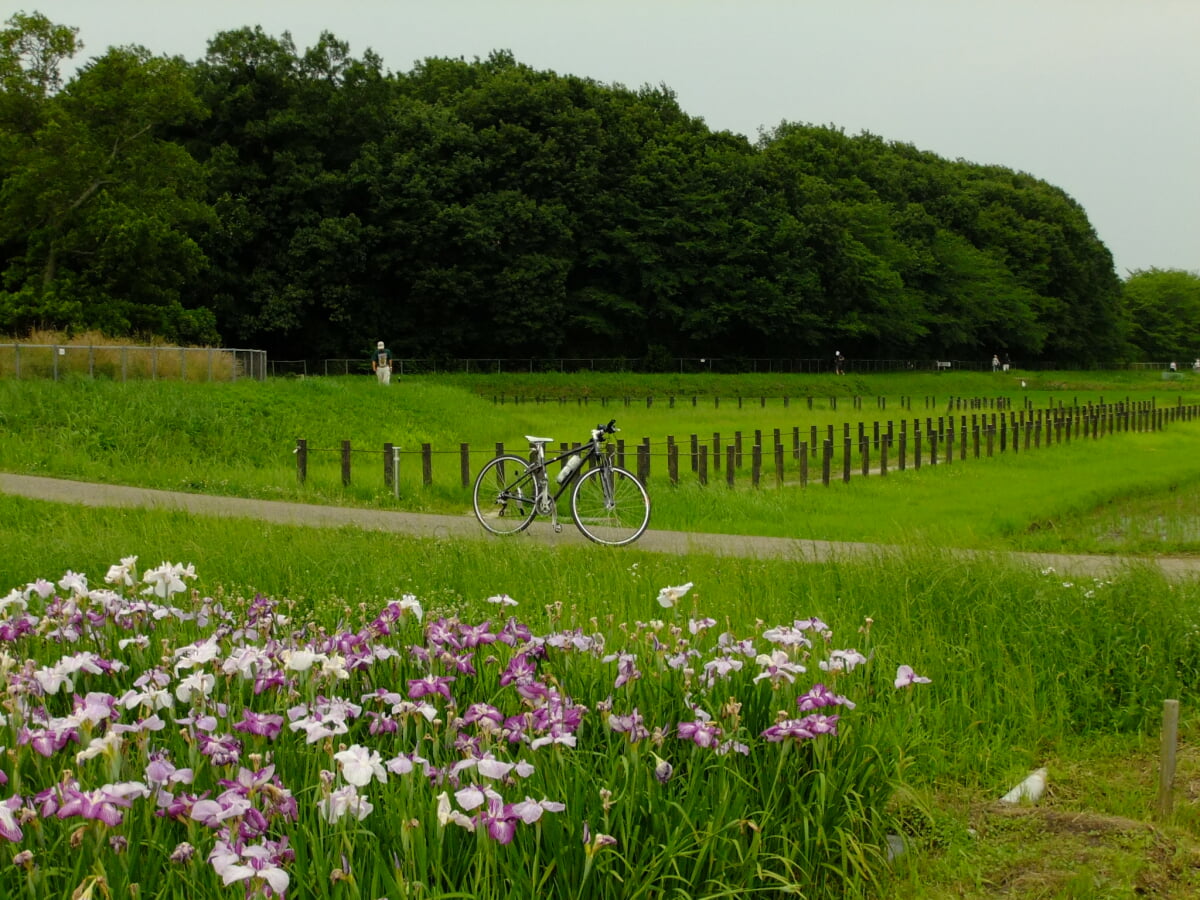 内牧公園の写真 ©sumomojam from Saitama, Japan.(CC BY-SA 2.1 jp)