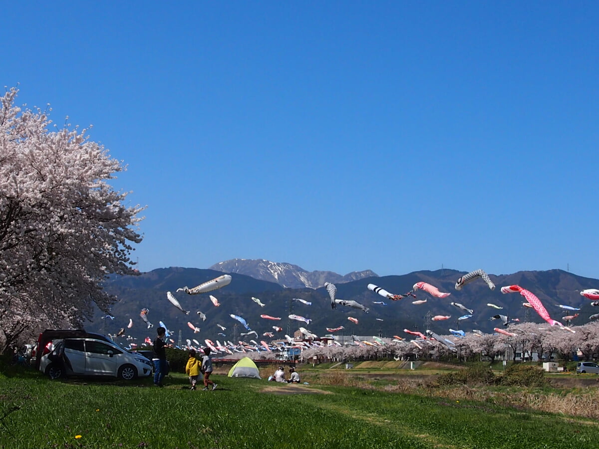 相川水辺公園の写真 ©猫型ロボット(CC BY 4.0)