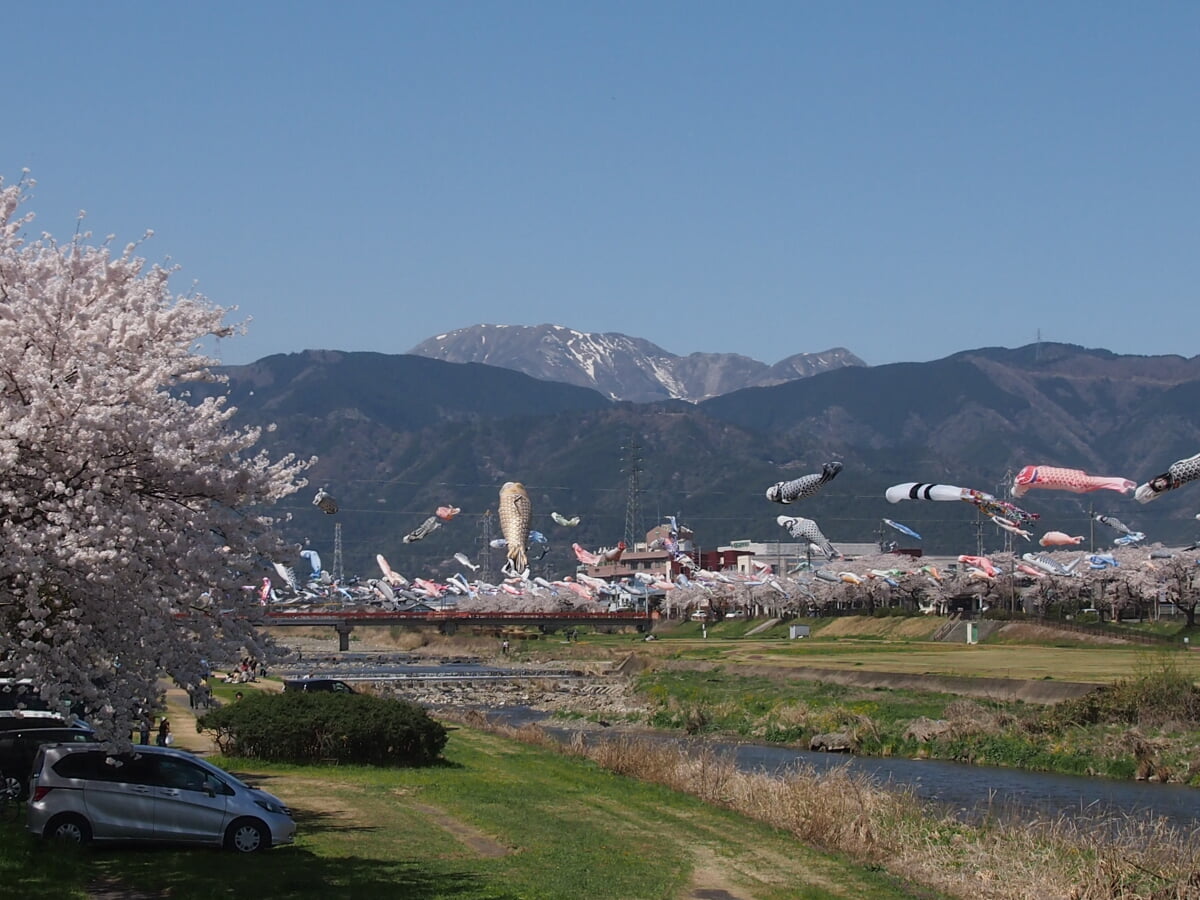 相川水辺公園の写真 ©猫型ロボット(CC BY 4.0)