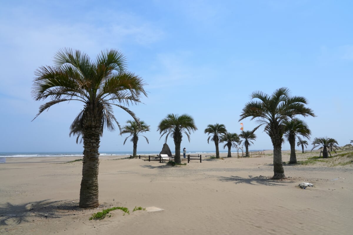 本須賀海水浴場の写真 