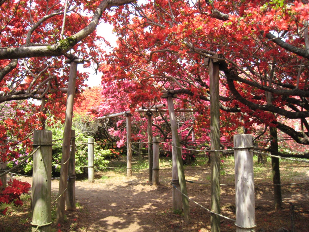 館林市つつじが岡公園の写真 ©Taketarou(CC BY-SA 1.0)