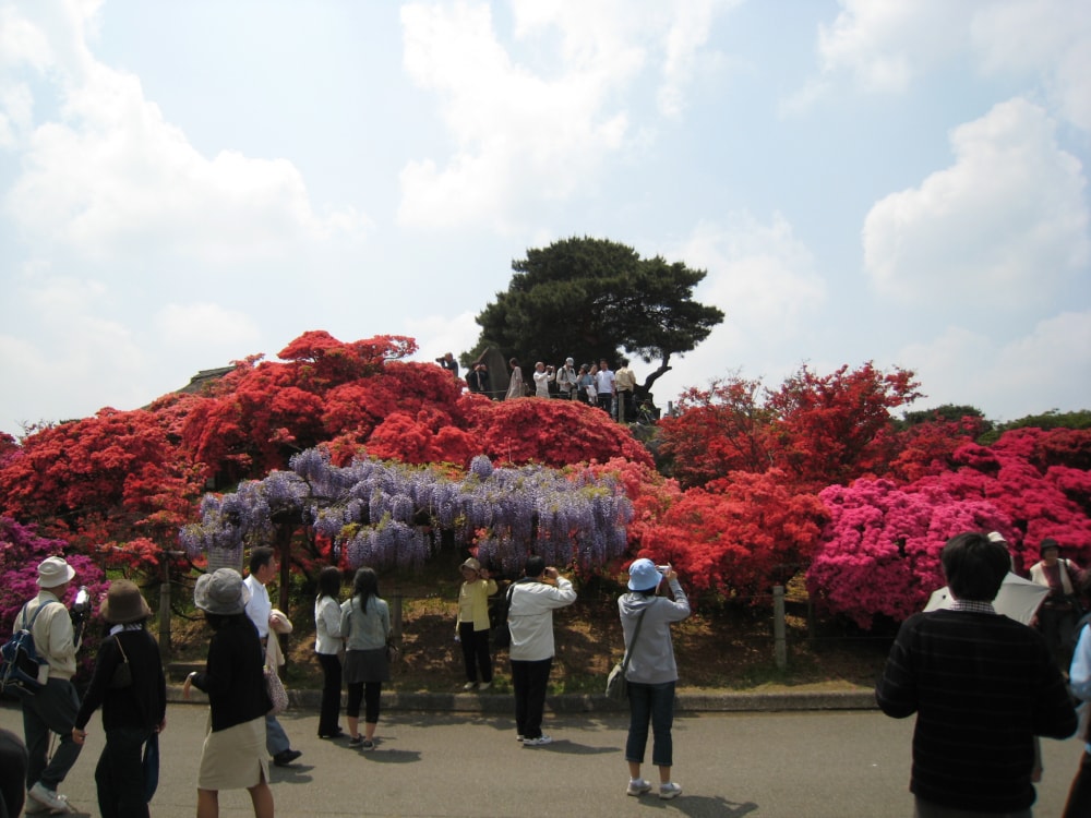 館林市つつじが岡公園の写真 ©Taketarou(CC BY-SA 1.0)