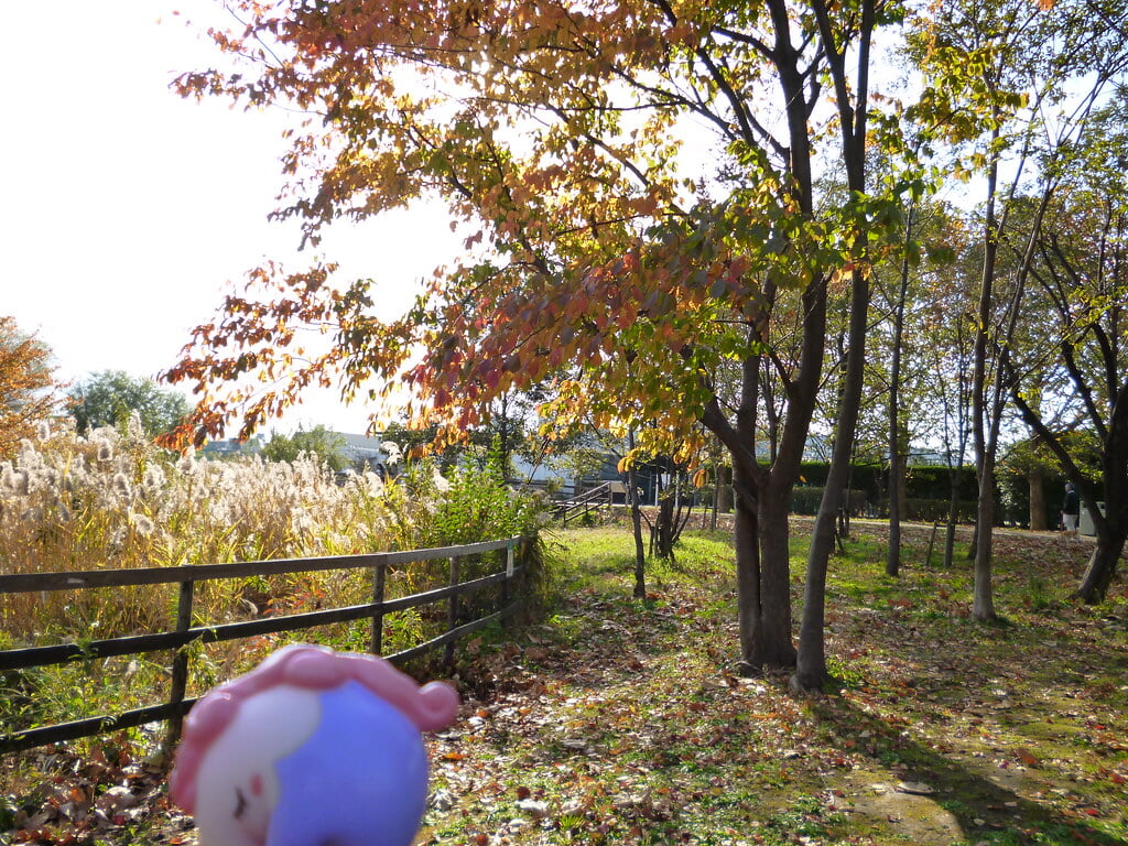 尾久の原公園の写真 ©Kasadera(CC BY 2.0)