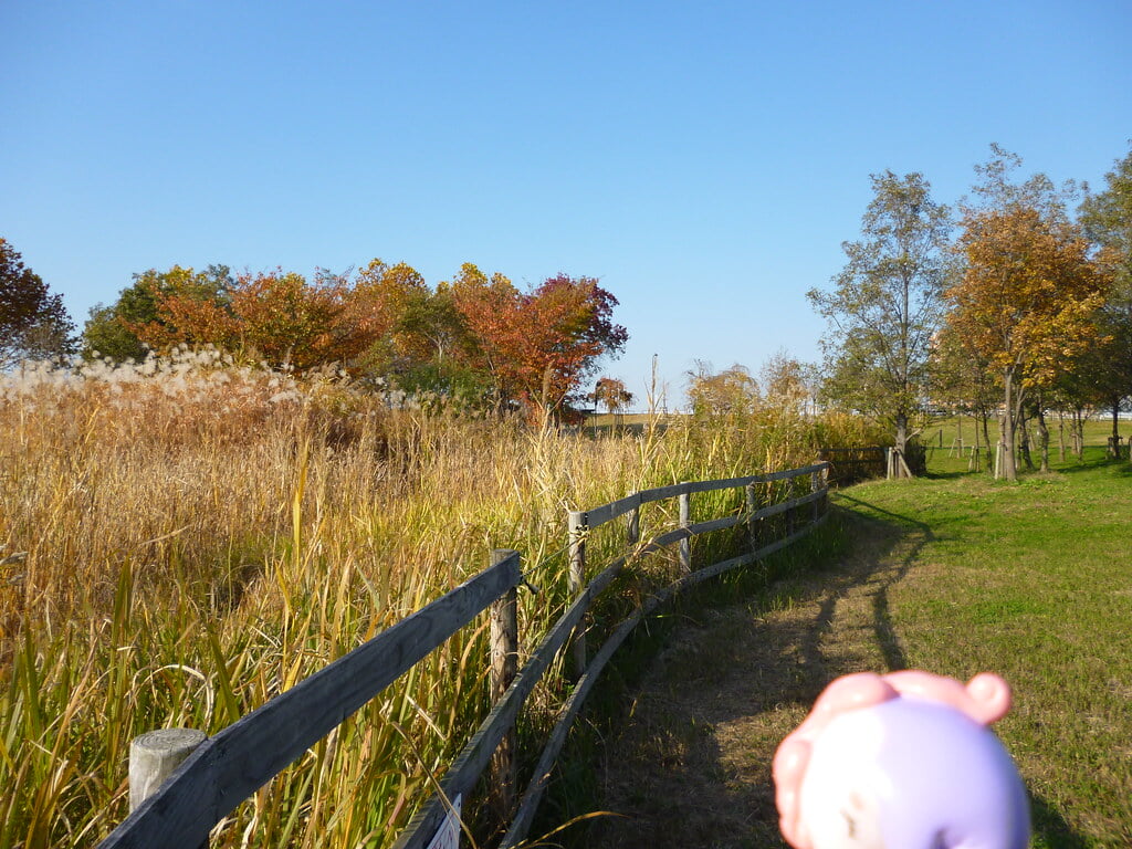 尾久の原公園の写真 ©Kasadera(CC BY 2.0)