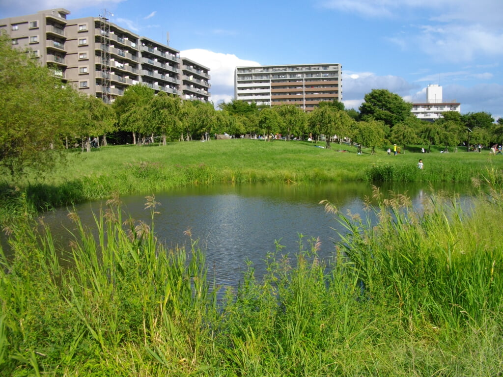 尾久の原公園の写真 ©あばさー(Public domain)