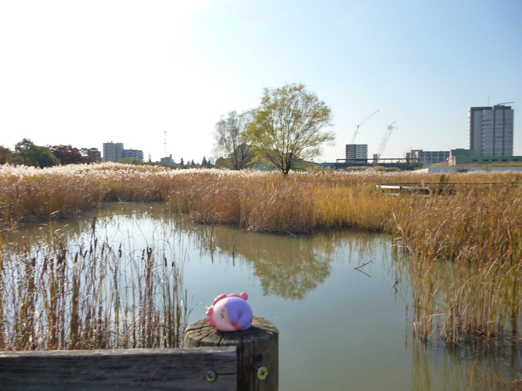 尾久の原公園の写真 ©Kasadera(CC BY 2.0)