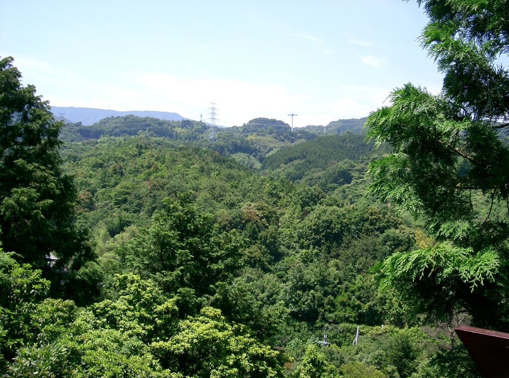 長野公園の写真 ©KENPEI(CC-BY-SA-3.0)