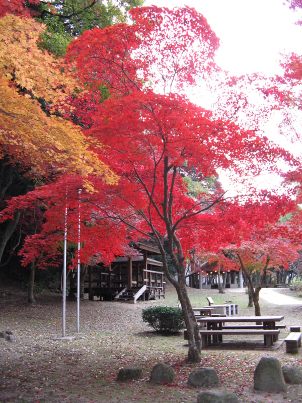 長野公園の写真 ©KENPEI(CC-BY-SA-3.0)