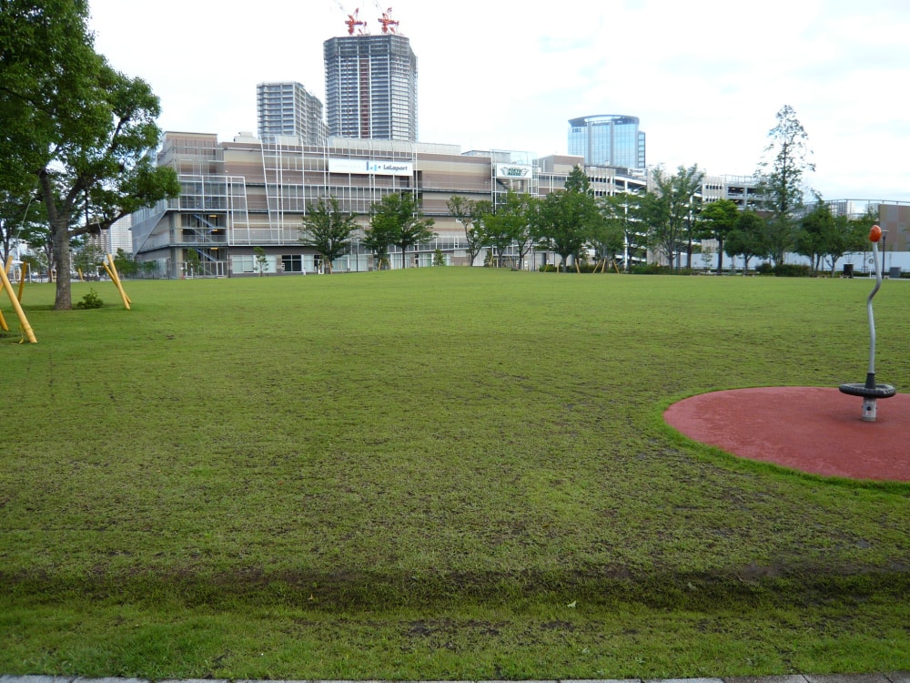 豊洲公園の写真 ©Ryoma35988(CC-BY-SA-3.0)