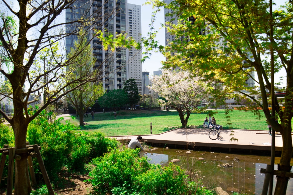 港南緑水公園の写真 ©Rankin2019(CC BY-SA 4.0)