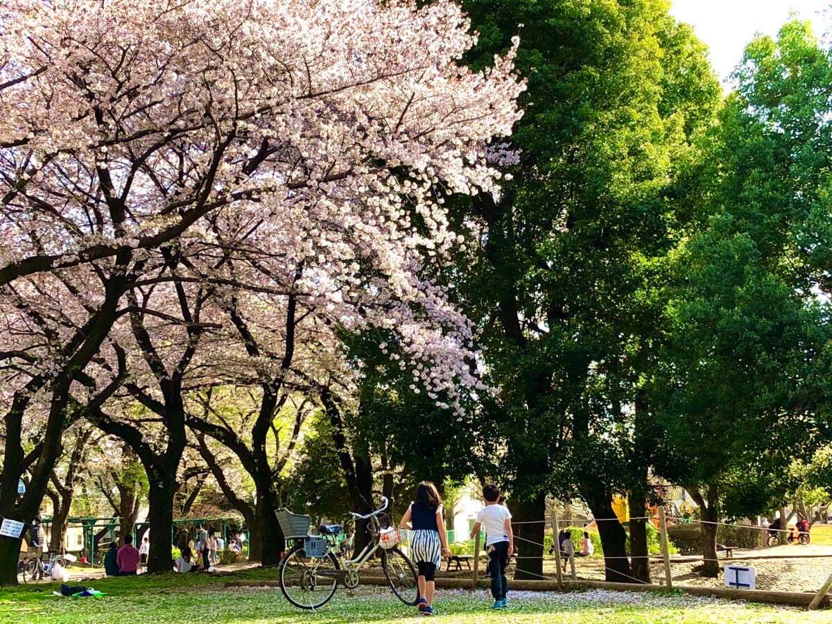 みずほ台中央公園の写真 