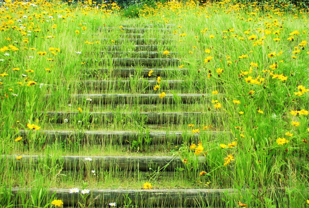 みやま公園の写真 ©Yoshio Kohara(CC BY 3.0)