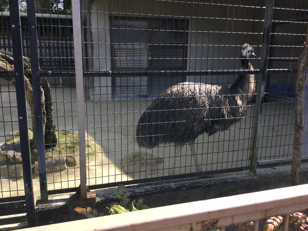 高岡古城公園動物園の写真 ©inunami(CC BY 2.0)