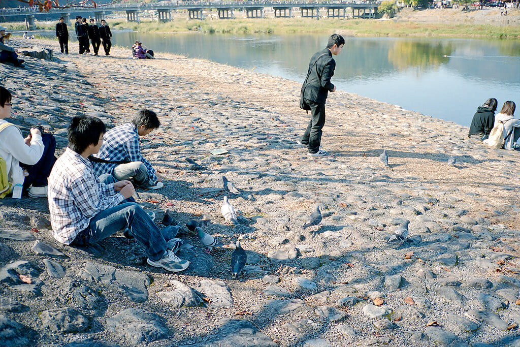 嵐山公園の写真 ©Lordcolus(CC BY 2.0)