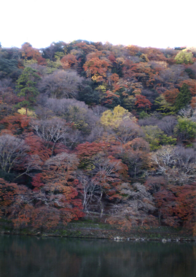 嵐山公園の写真 ©washio1964-2014(CC BY 2.0)