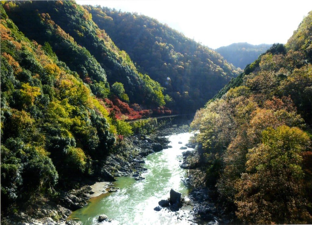 嵐山公園の写真 ©washio1964-2014(CC BY 2.0)