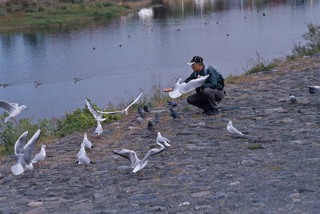 嵐山公園の写真 ©Lordcolus(CC BY 2.0)