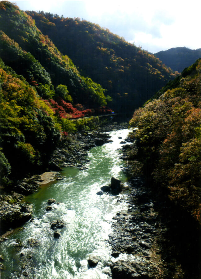 嵐山公園の写真 ©washio1964-2014(CC BY 2.0)