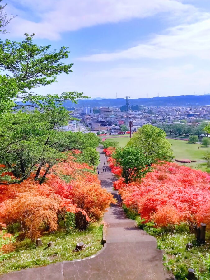 長峰公園の写真 