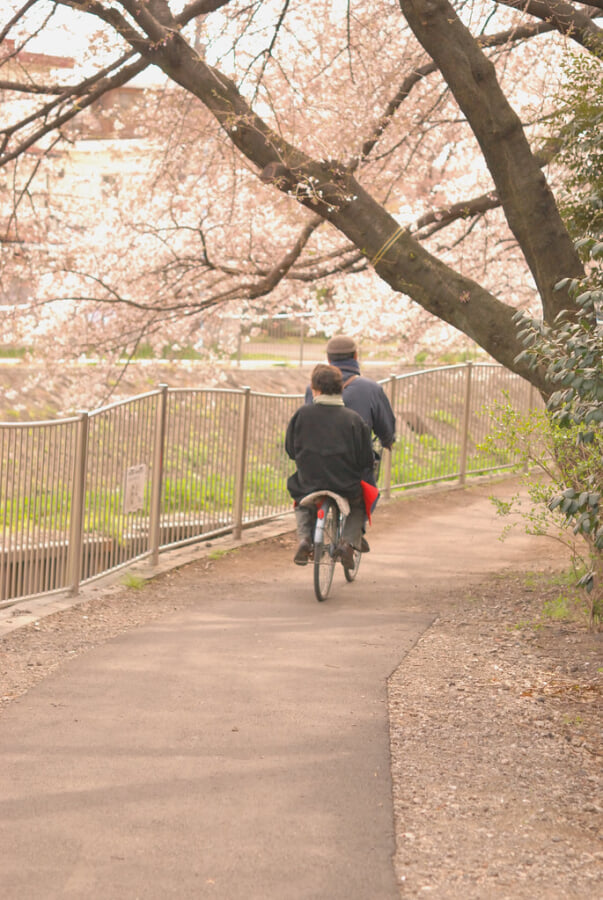 善福寺川緑地の写真 ©nakimusi(CC BY 2.0)