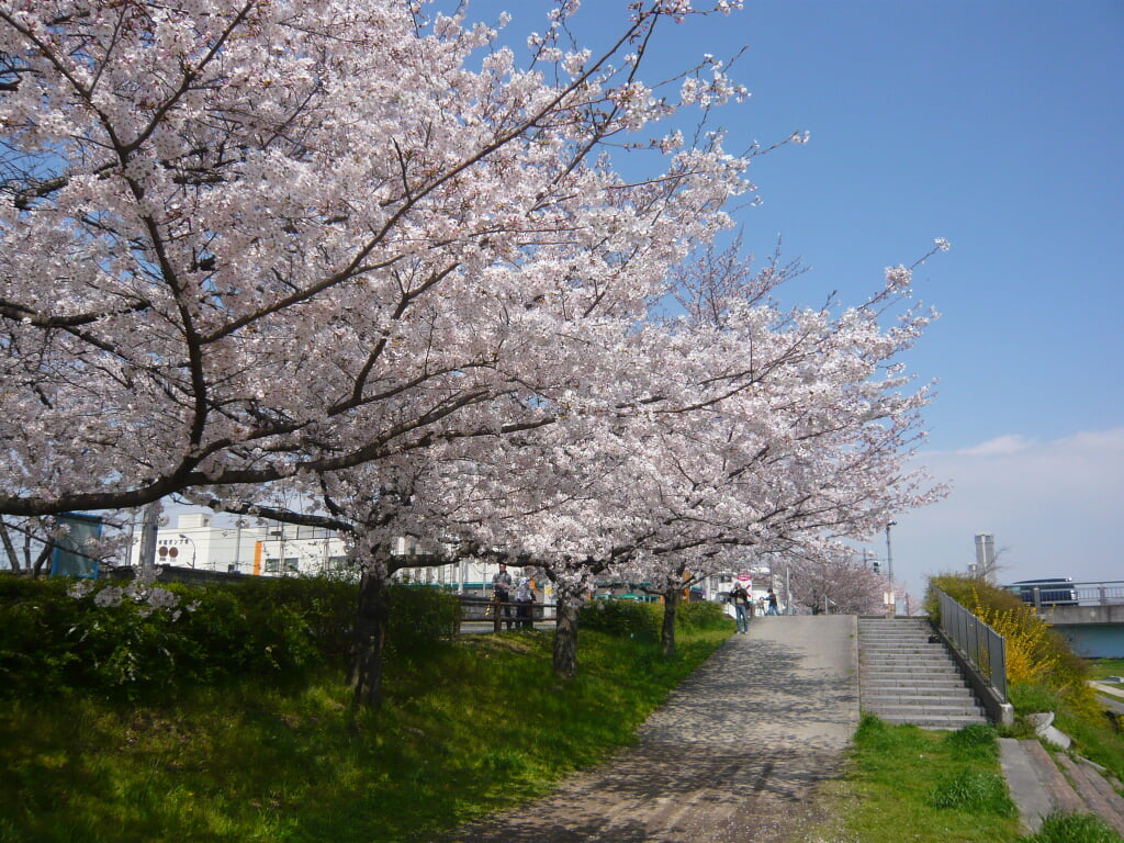 石川河川公園の写真 ©Nankou Oronain (as36…(CC BY-SA 3.0)