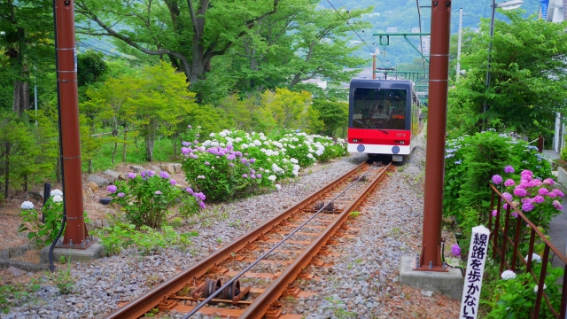 箱根登山ケーブルカーの写真 