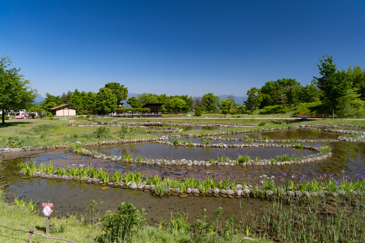 国営アルプスあづみの公園 大町・松川地区の写真 ©Sei F(CC BY-SA 2.0)