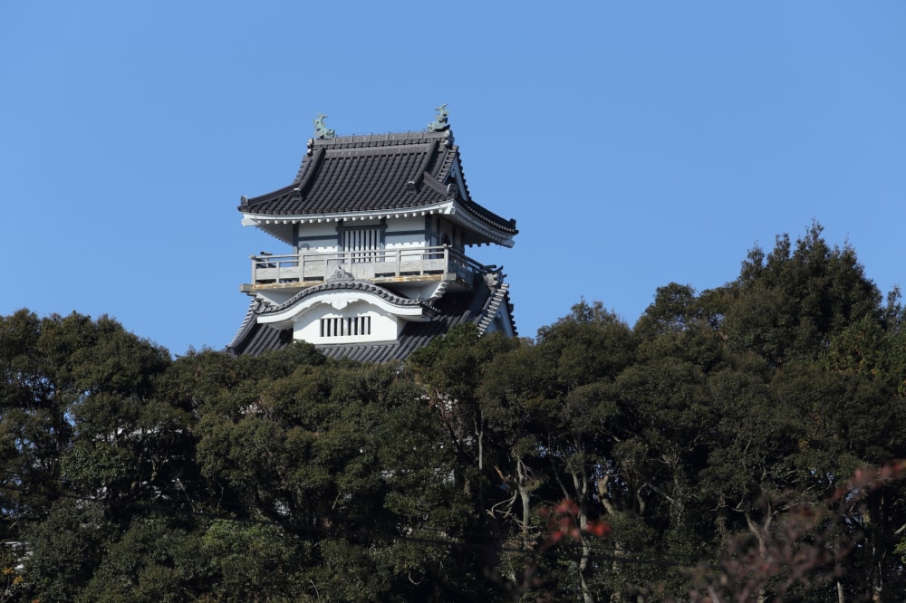 小山城の写真 