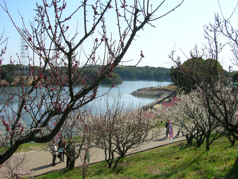 佐布里緑と花のふれあい公園の写真 ©KAMUI(CC BY-SA 3.0)