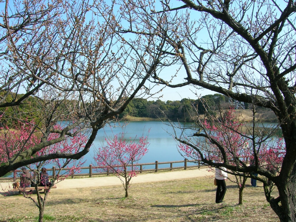 佐布里緑と花のふれあい公園の写真 ©KAMUI(CC BY-SA 3.0)