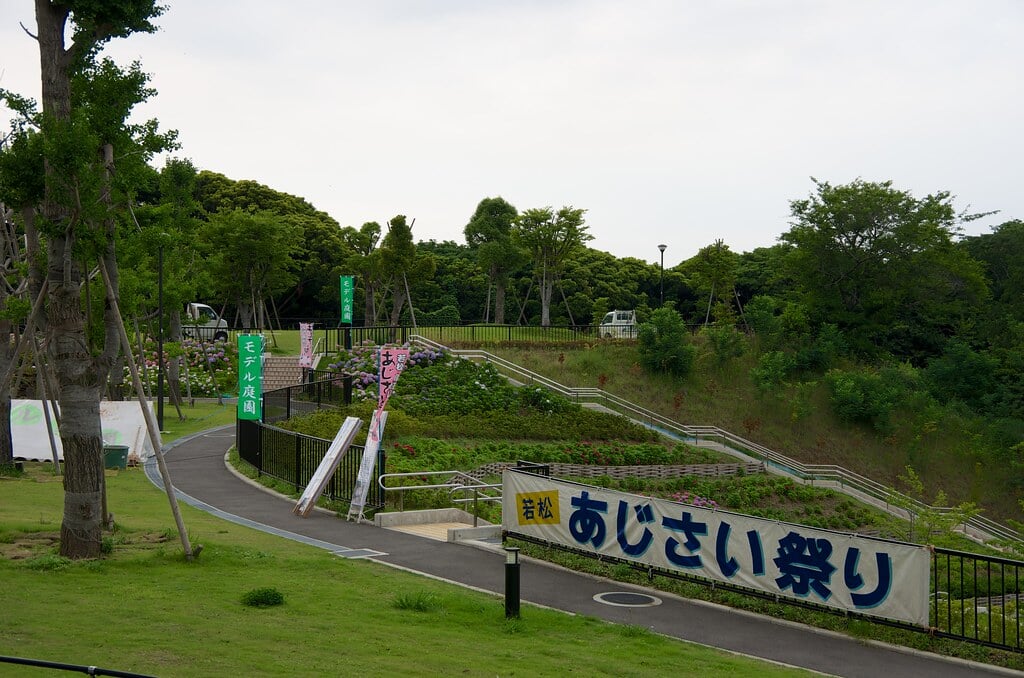 高塔山公園の写真 ©yuki5287(CC BY 2.0)