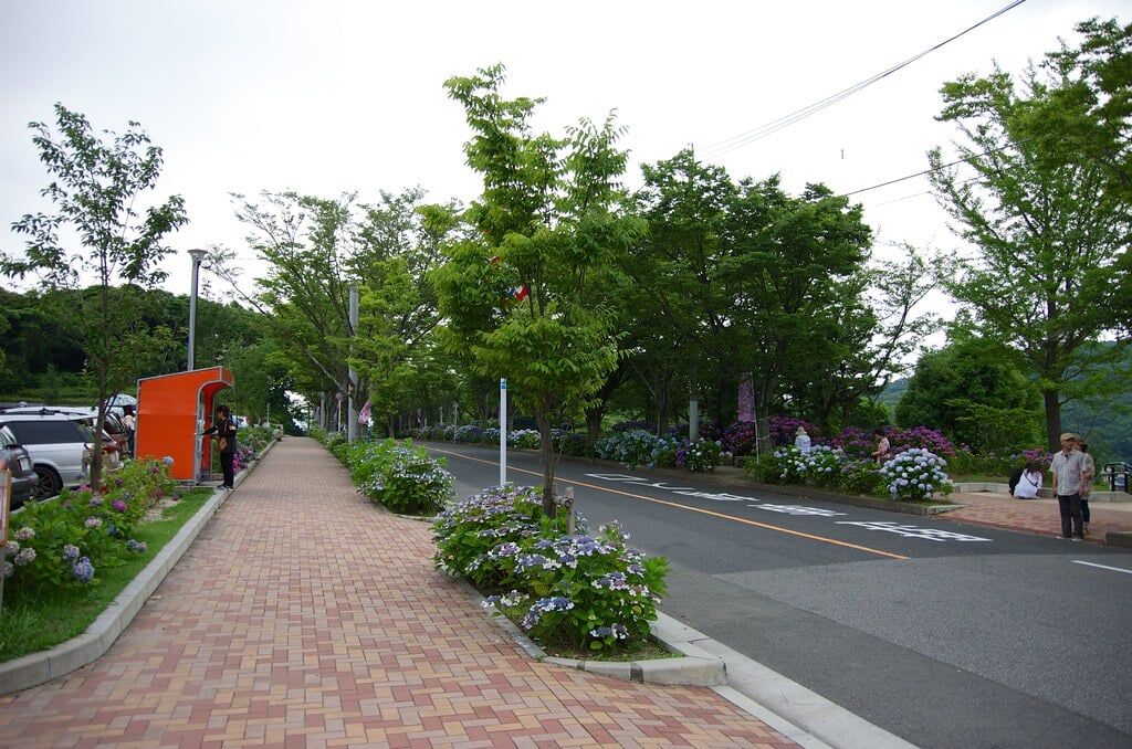 高塔山公園の写真 ©yuki5287(CC BY 2.0)