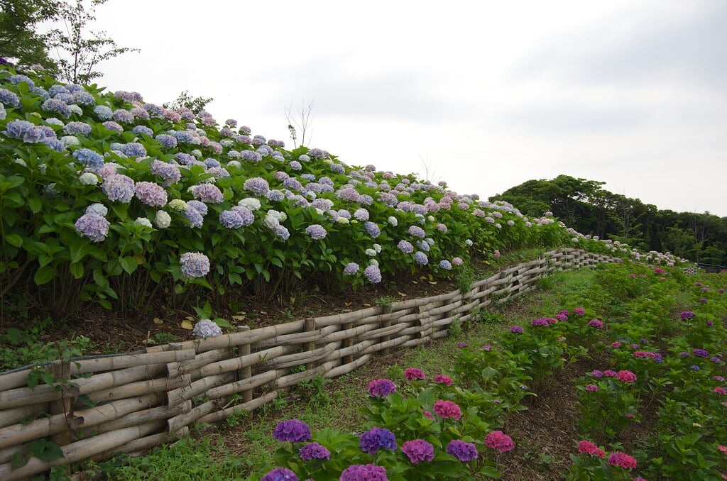 高塔山公園の写真 ©yuki5287(CC BY 2.0)