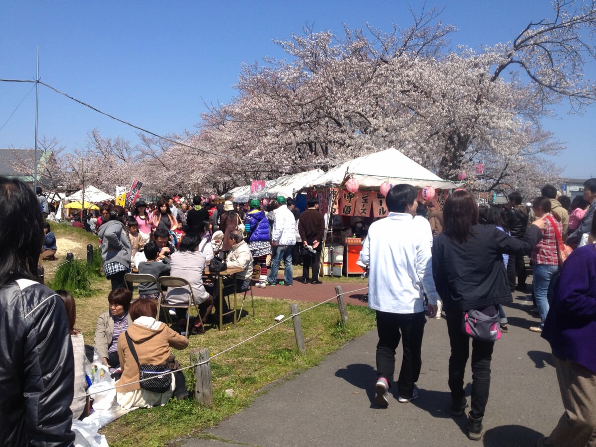 清洲公園の写真 ©KKPCW(CC BY-SA 4.0)