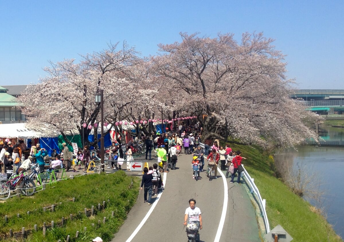 清洲公園の写真 ©KKPCW(CC BY-SA 4.0)