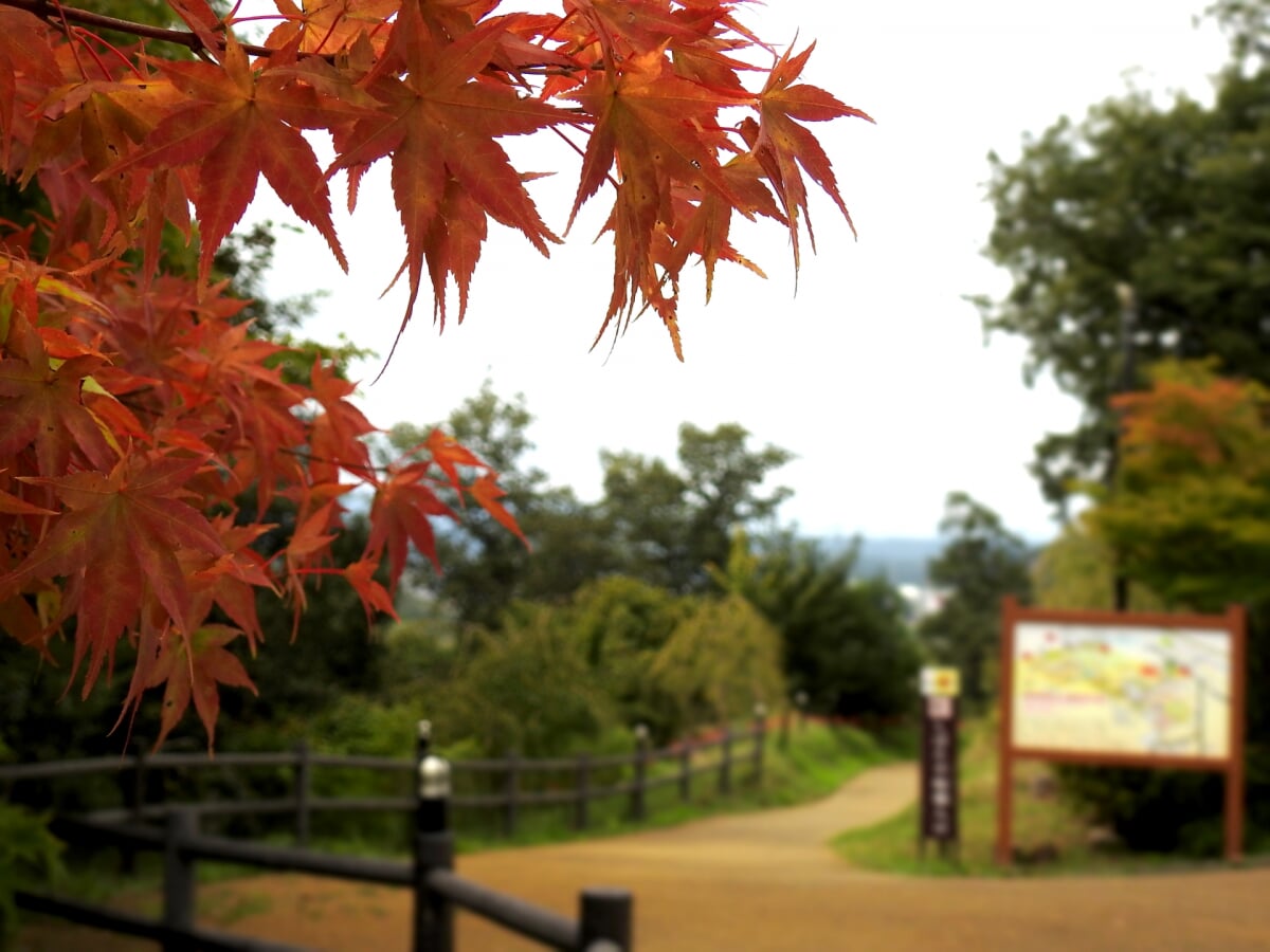 船岡城址公園の写真 