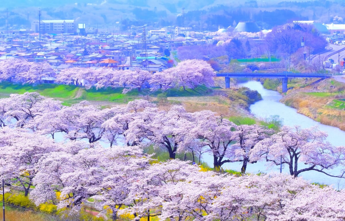 船岡城址公園の写真 