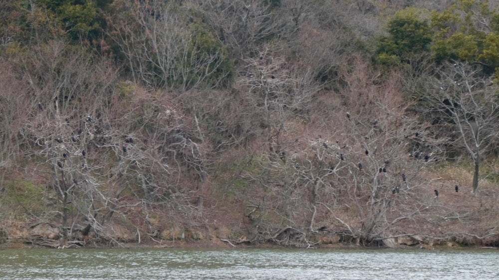 愛知県森林公園の写真 ©KKPCW(CC BY-SA 4.0)